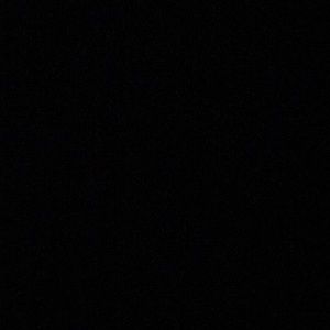 Meet your Posher, Sylvester